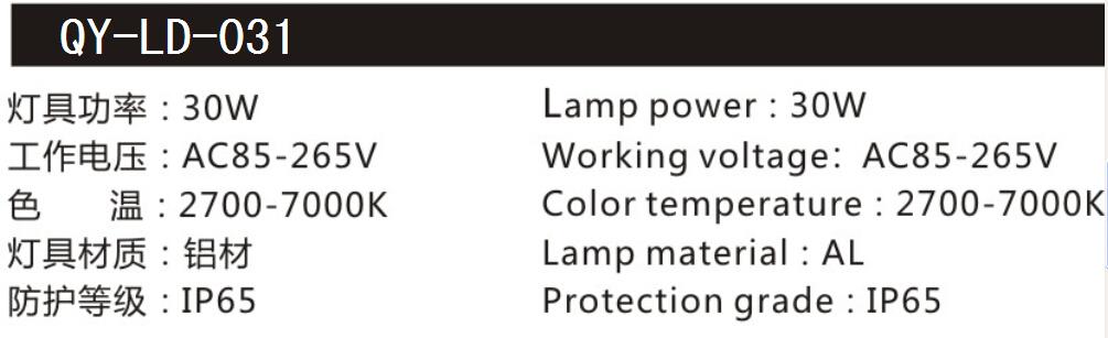QY-LD-0031路燈